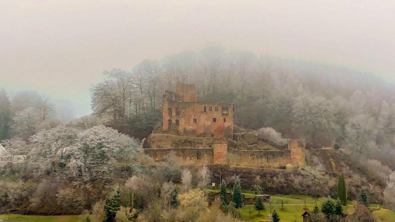 Burg Freienstein Blick 4 Sterne Mit Sauna Gammelsbach Exteriér fotografie