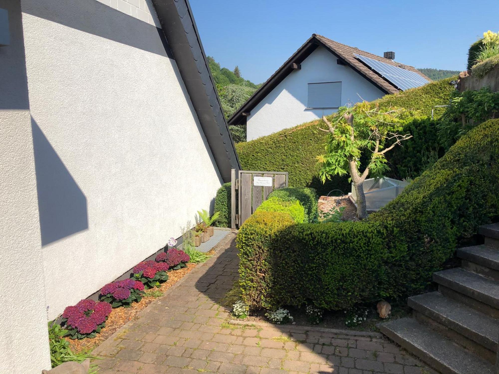 Burg Freienstein Blick 4 Sterne Mit Sauna Gammelsbach Exteriér fotografie